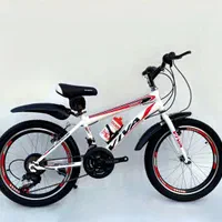 مطمئن بخرید،دوچرخه سایز 20|دوچرخه، اسکیت، اسکوتر|مشهد, شهید معقول|دیوار