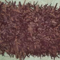 پادری زرشکی با محافظ زیری چرم