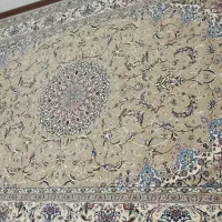 فرش ستاره کویر یزد|فرش|پردیس, فاز ۲|دیوار