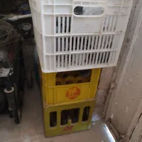 فروش یه عددسبدموادنوودوعددجانوشابه ای