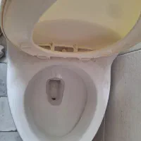 توالت فرنگی