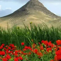 فروش یا تهاتر زمین کشاورزی  با آپارتمان