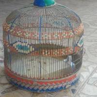 قفس|لوازم جانبی حیوانات|کوهدشت, |دیوار