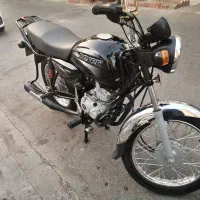 باکسر بوکسر اصلی هندی در حد