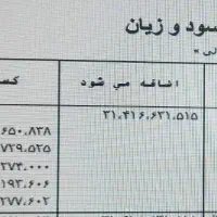 خدمات حسابرسی شرکتهای بازرگانی وتولیدی، خدماتی