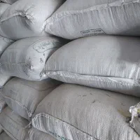 گندم پیشگام|خدمات باغبانی و درختکاری|گرمخان, |دیوار