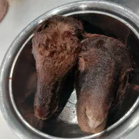 کله پاچه چپش،تکه،شیشک، گوسفند موجود میباشد|خوردنی و آشامیدنی|مهربان, |دیوار