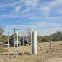 باغ انگور گردو بادام|فروش دفتر صنعتی، کشاورزی، تجاری|تهران, شهرک شریعتی|دیوار