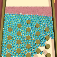 دوتاقالی‌دوازده‌متری‌نو‌داخل‌پلاستیک