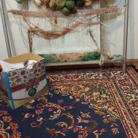 تابلو فرش نیمه بافته از شرکت دارکوب امروز|تابلو فرش|مشهد, سید رضی|دیوار