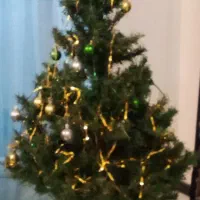 درخت کریسمس