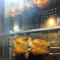 فر جوجه گردان