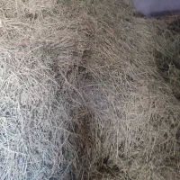 فروش یونجه خشک پوفکی