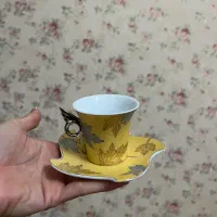 سرویس قهوه خوری نو