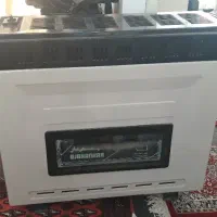 بخاری ۱۰ هزار جهان کار