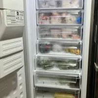 فروش یخچال دوقلو الکترو استیل|یخچال و فریزر|یزد, |دیوار