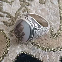 شجر تک درخت کلکسیونی