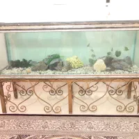 فروش آکواریوم