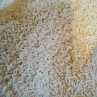۴۰ کیلوگرم برنج هاشمی ممتاز کیفیت
