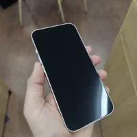 13 normal