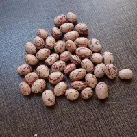 لوبیا چیتی. کشاورزی و قرمز (خرده ب قیمت عمده)