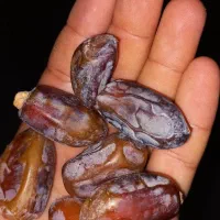 خرما از نخلستون خودمون|خوردنی و آشامیدنی|اهواز, دغاغله|دیوار