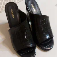 صندل پوست ماری|کیف، کفش، کمربند|تهران, ستارخان|دیوار