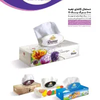 کارخانه دستمال کاغذی و صنایع سلولزی فارس رعنا|مواد شوینده و دستمال کاغذی|شیراز, منطقه ویژه اقتصادی|دیوار