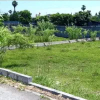 290-متر-جنگلی-سند-تک-برگ