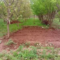 باغ ویلایی|فروش زمین و ملک کلنگی|فیرورق, |دیوار