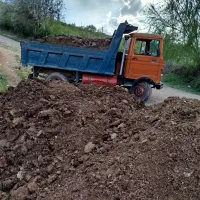 حمل کود حیوانی کود گاوی گوسفندی کود خشک و پوسیده|خدمات باغبانی و درختکاری|بروجرد, |دیوار