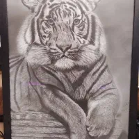 تابلو نقاشی سیاه قلم درجه ۱