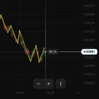 سرمایه گذاری