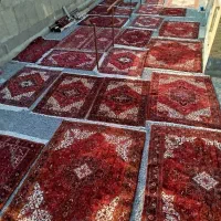 کارخانه قالیشویی کارگر شفق۳۳۲۹۴۴۴۷|خدمات نظافت|تبریز, |دیوار