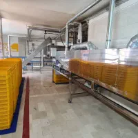 فروش کارخانه مجهز صنایع غذایی پیاز داغ شهرک صنعتی|فروش دفتر صنعتی، کشاورزی، تجاری|شریفآباد, |دیوار