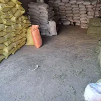 خوراکدام وطیور|لوازم جانبی حیوانات|زرند, |دیوار