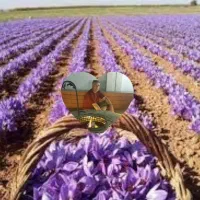 خشک کردن زعفران با دستگاهای اتویی وپرسی|خدمات پیشه و مهارت|خوشاب, |دیوار