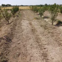 باغ-9ونیم-من-9باتمان