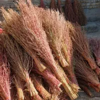 جارو فراشی|لوازم نظافت|سرپل ذهاب, |دیوار