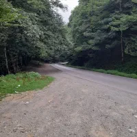 مسافر دربستی۱۱۱