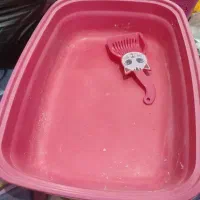 سطل خاک گربه