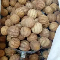 خریدار لیمو خشک صندوقی و کیلویی. نقد|خدمات باغبانی و درختکاری|جهرم, |دیوار