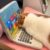 انجام‌پاورپوینت و‌ ورد