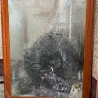 فروش اکواریوم