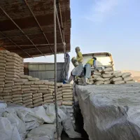 کارگر مصالح فروشی