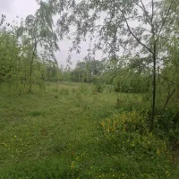 زمین باغی قابل معاوضه با ملک