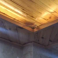 سلام جویای کارم