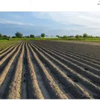 فروش-زمین-کشاورزی