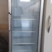 یخچال ویترینی گلدن. در حد نو. 60سانتی