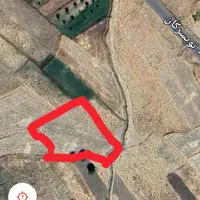 زمین کشاورزی